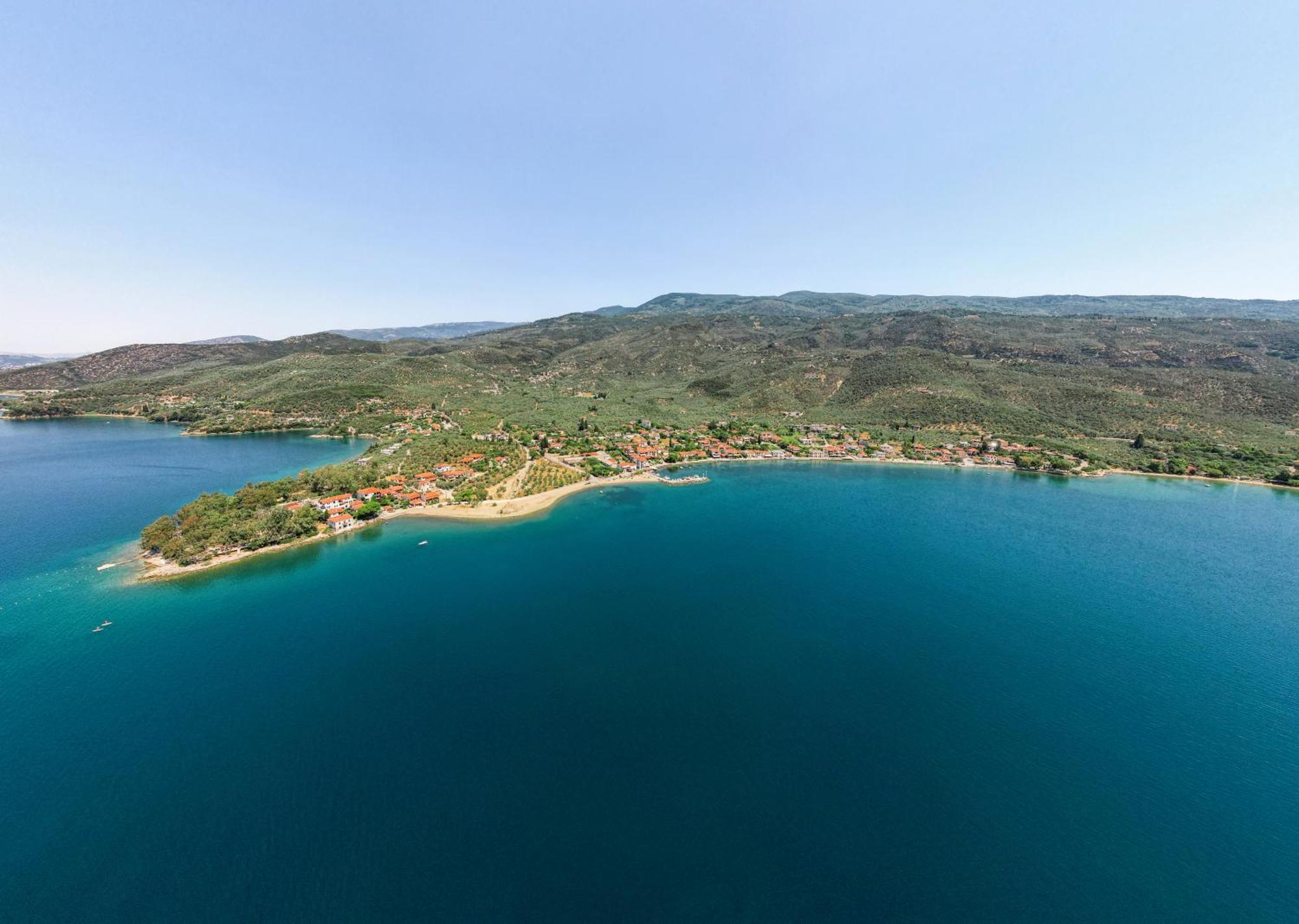 Chroma Pelion *